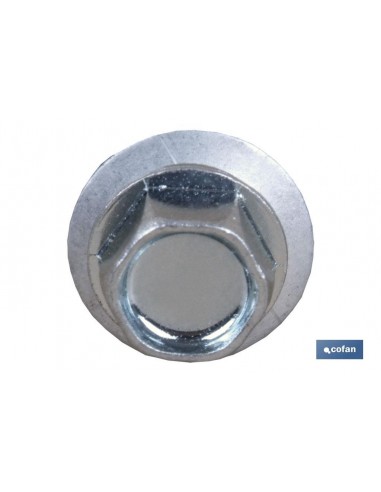 TORNILLO CUBIERTA P/VIGUETA 5,5X38 EP-16