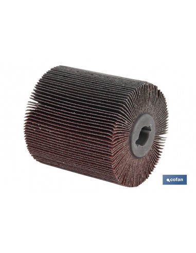CILINDRO CEPILLO DE LAMINA C/ TELA...