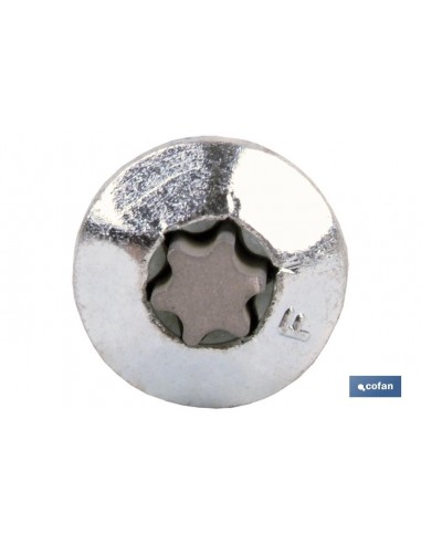 TORNILLO INVIOLABLE TORX30 M-7X80