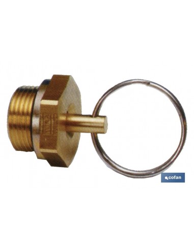 GRIFO PURGA 22 X 1,5