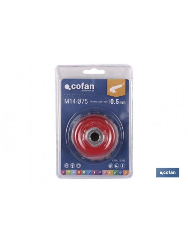 CEPILLO COPA TRENZADO M14 Ø100 ACERO...