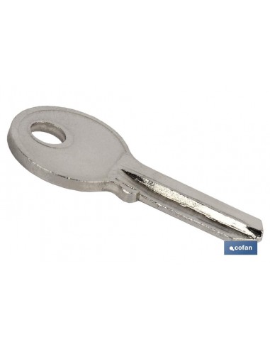 LLAVE BRUTO CANDADO 25mm (ref...