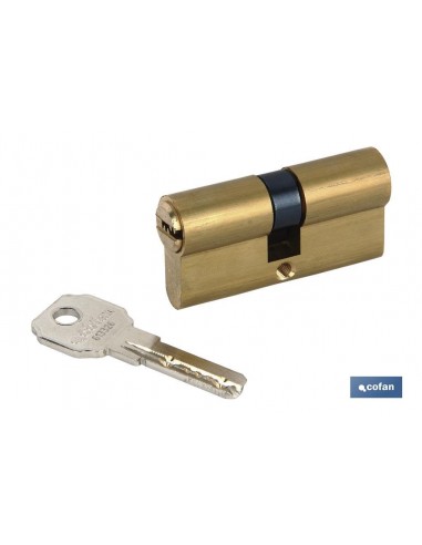 CILINDRO SEGURIDAD LLAVE NORMAL 30/30...