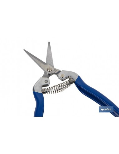 TIJERA RECOLECCION RECTA 185 MM INOX