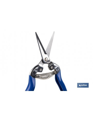 TIJERA RECOLECCION RECTA 185 MM INOX