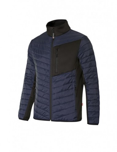 206009 / CHAQUETA ACOLCHADA LIGERA