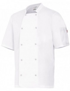 405205 / CHAQUETA COCINA MC 2