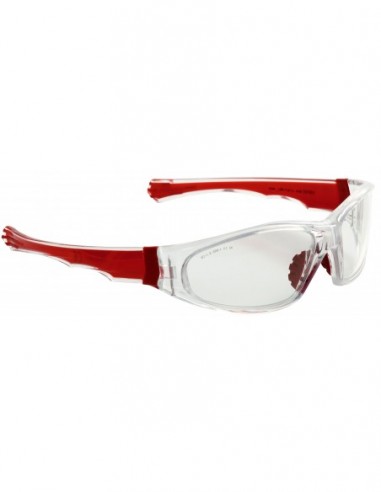 Gafas de seguridad transparentes EAGLE