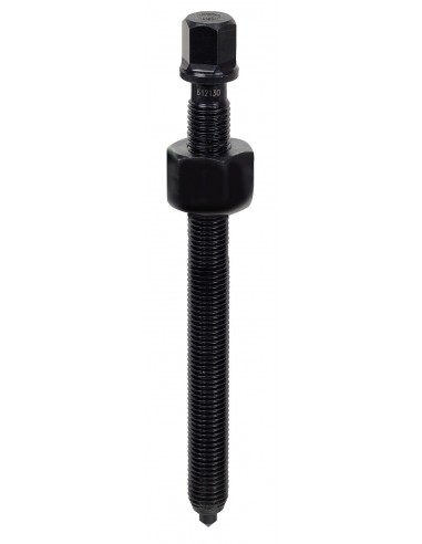 Husillo y casquillo interior del...