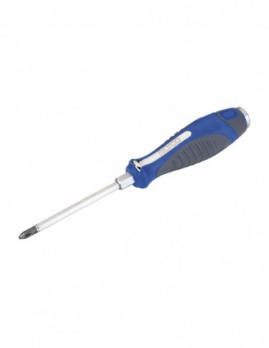 DESTORN. PASANTE BOCA PHILLIPS PH1X100MM