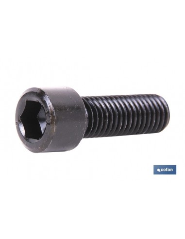 DIN-912 C-8.8    M-14 X 100 N (PACK:...