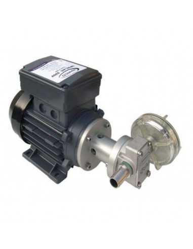 Cuerpo bomba eléctrica 220 V