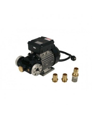 Cuerpo bomba gasoil 220 V 100 L