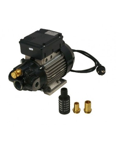 Cuerpo bomba trasvase de aceite  220 V