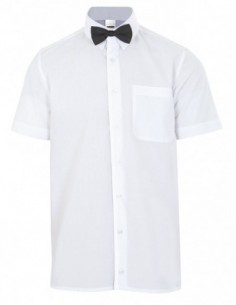 56 / PAJARITA
